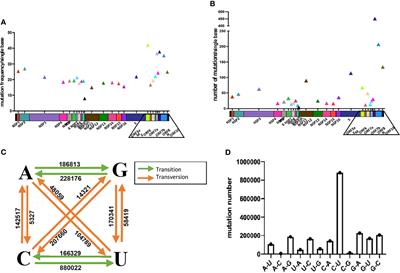 The Impact of Accumulated Mutations in SARS-CoV-2 Variants on the qPCR Detection Efficiency